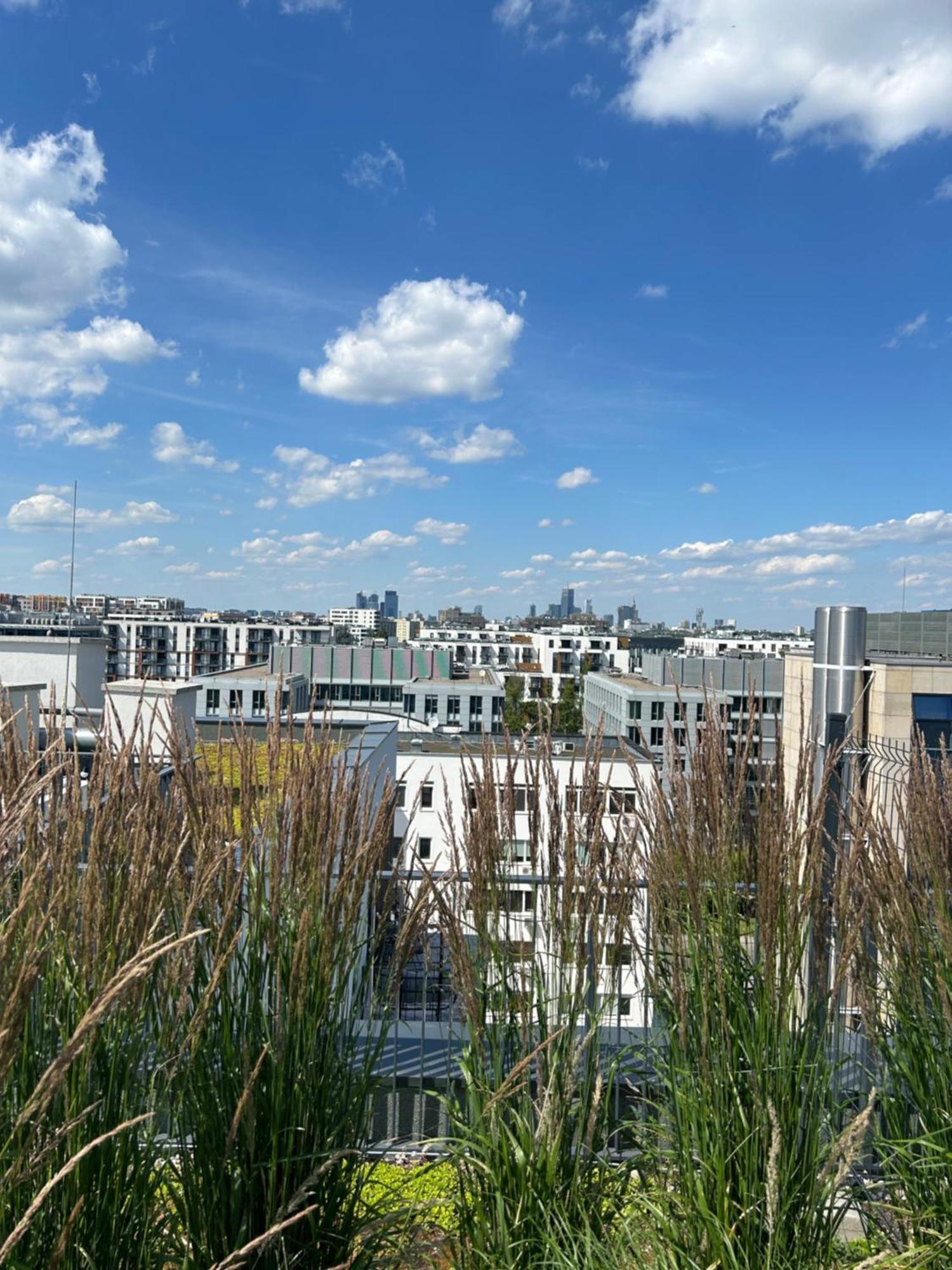 Domaniewska Premium Apartament Lägenhet